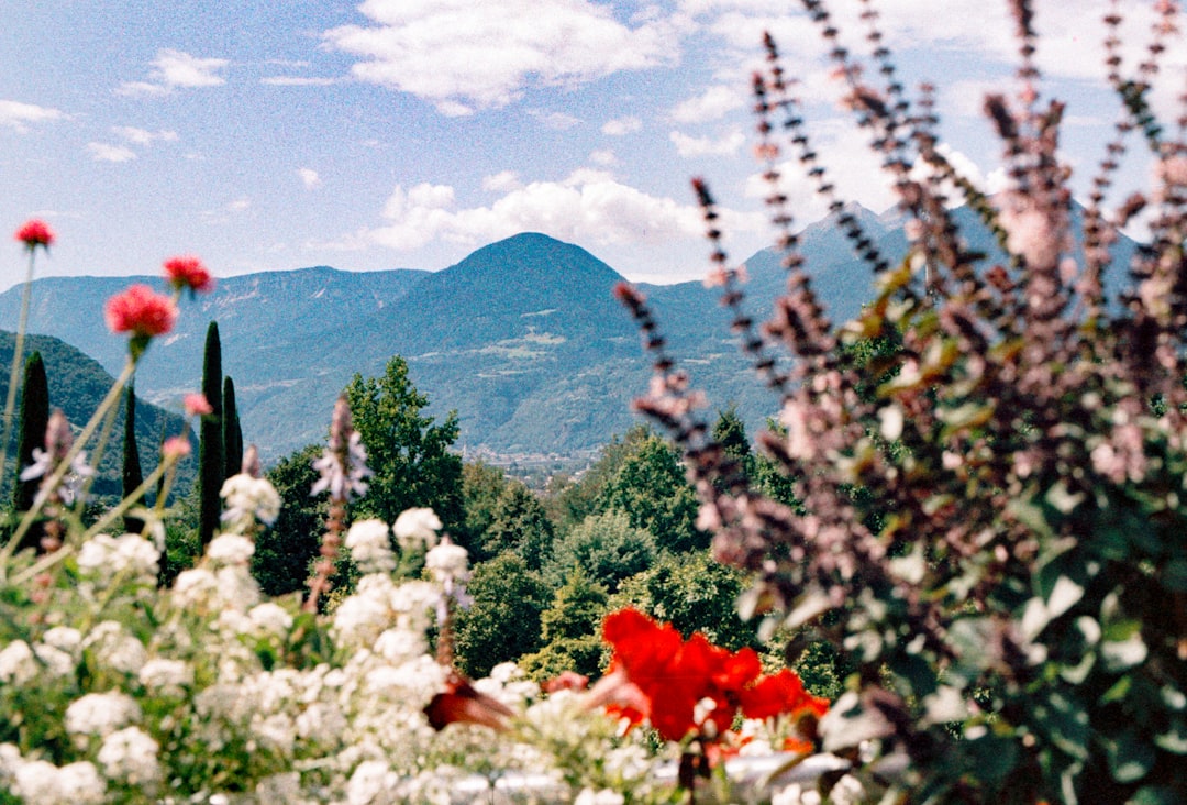 Fris en stoer: kort haar kapsels voor iedere stijl